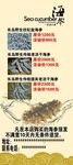 海参展架