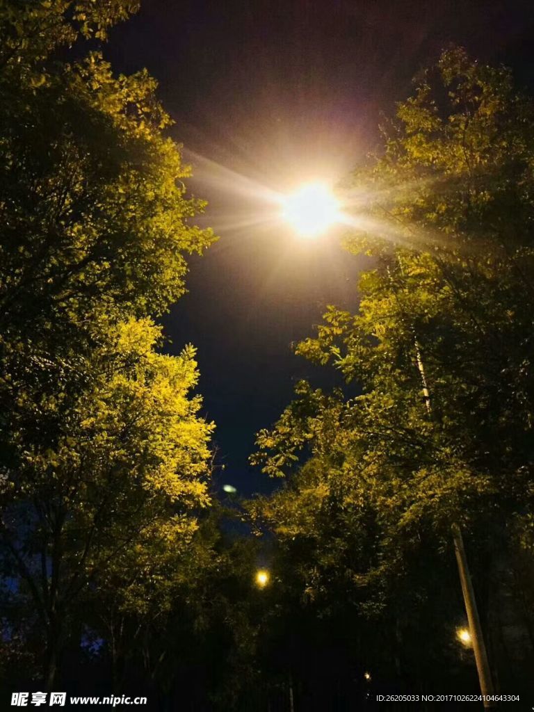 夜灯