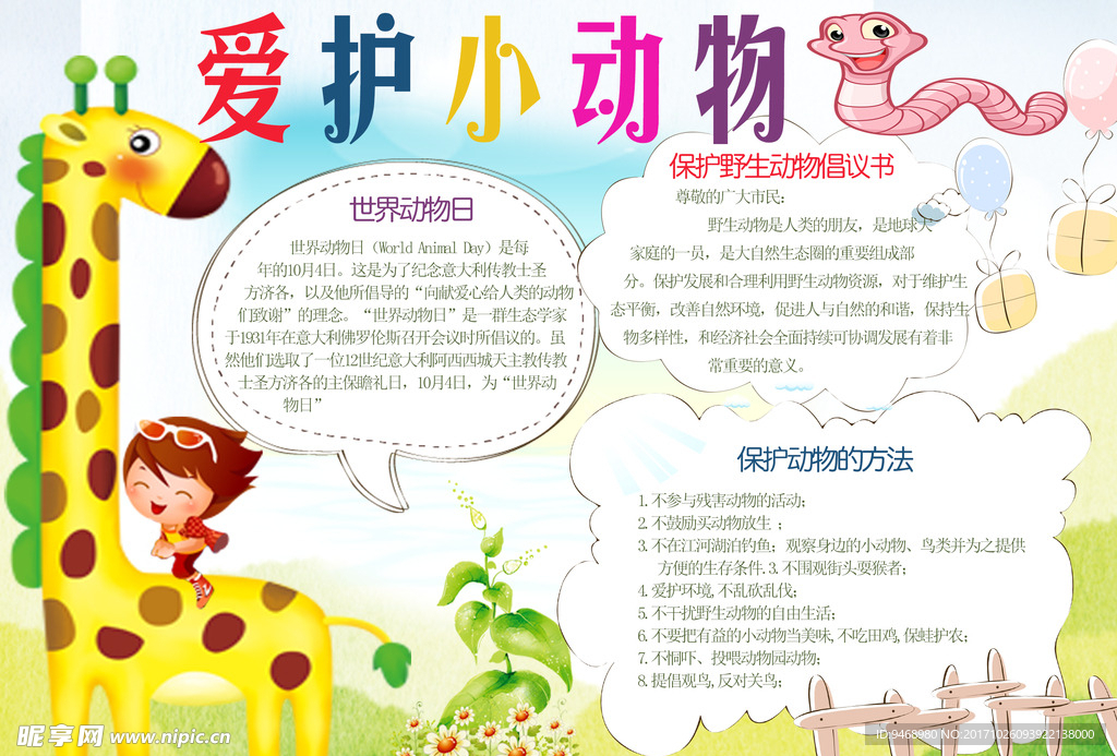 爱护小动物小报