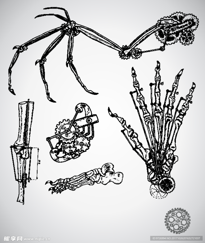 机械骨头矢量图下载