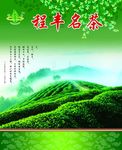 茶叶包装平面图