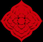 新年