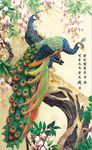 富贵花开孔雀花卉