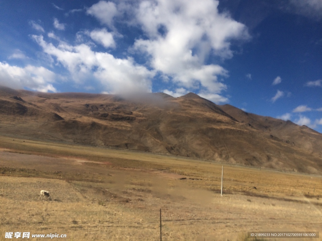 高山下的麦田