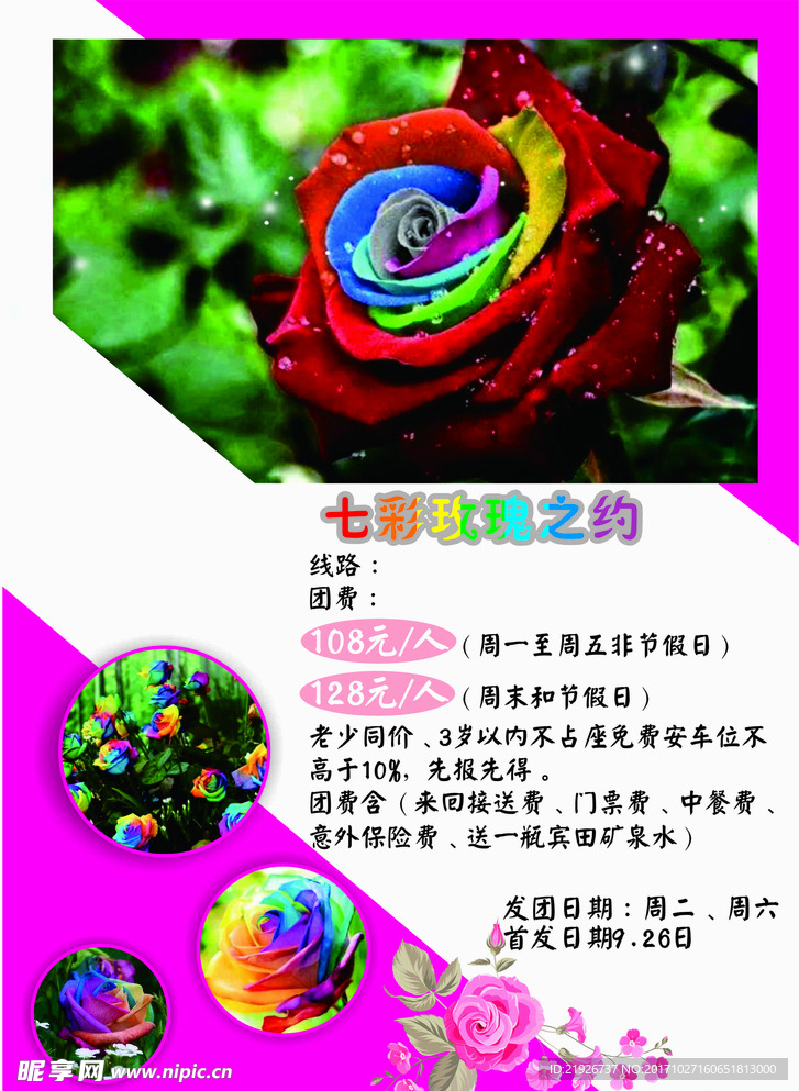 玫瑰之约