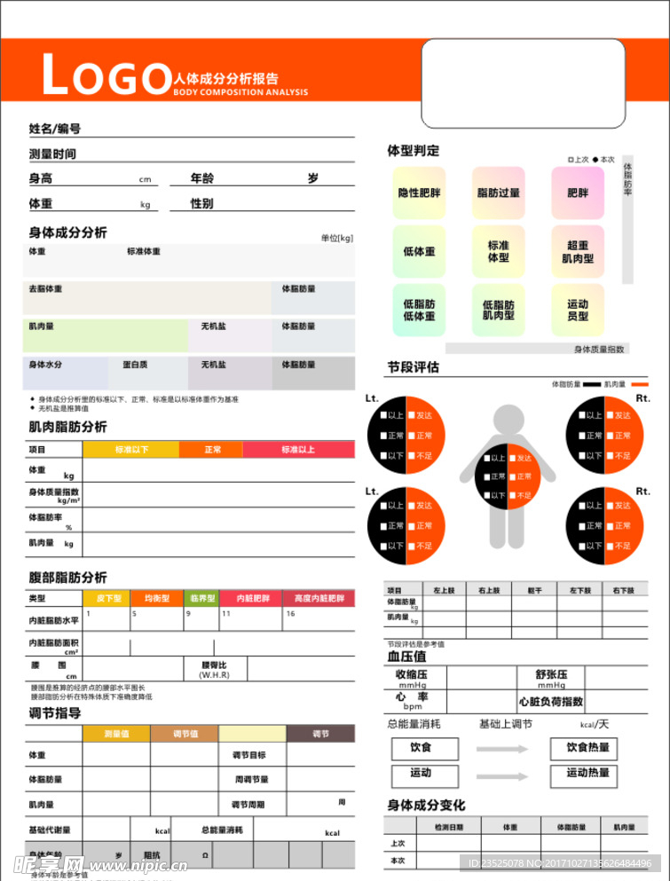 分析报告DM单