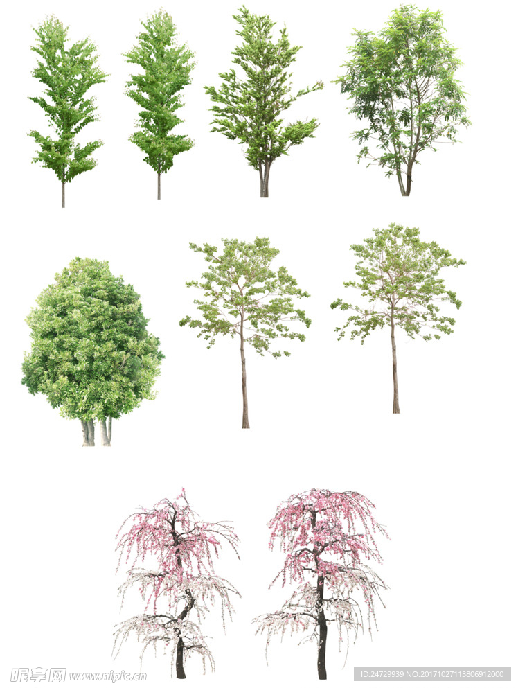 修图绿植 植被 草 绿化 绿植