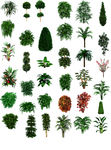 修图绿植 植被 草 绿化 绿植