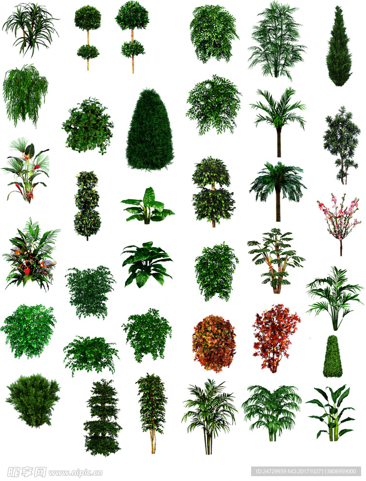 修图绿植 植被 草 绿化 绿植