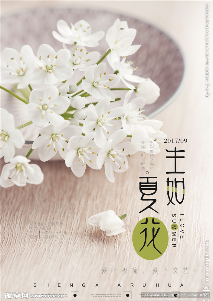 花的海报