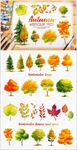 手绘秋季松树柏树黄叶树叶水彩画