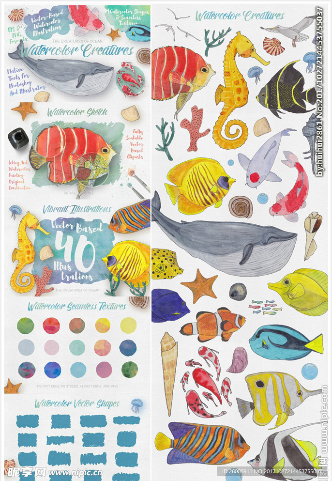 手绘海洋动物水彩画