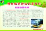 慢性病宣传栏