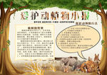 爱护动物小报