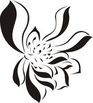 莲花