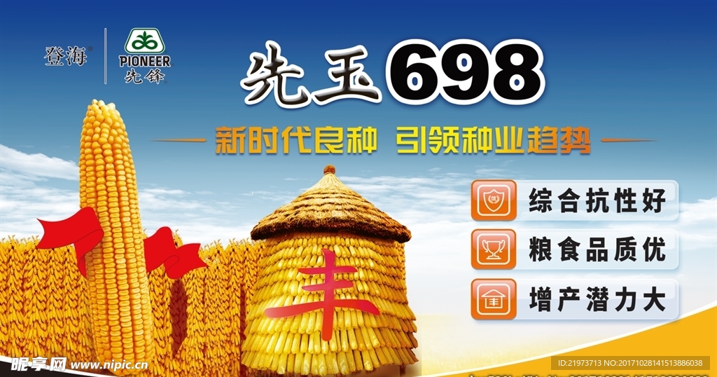 登海先锋698玉米