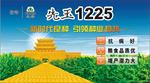 登海先锋玉米