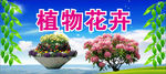 花卉展板设计