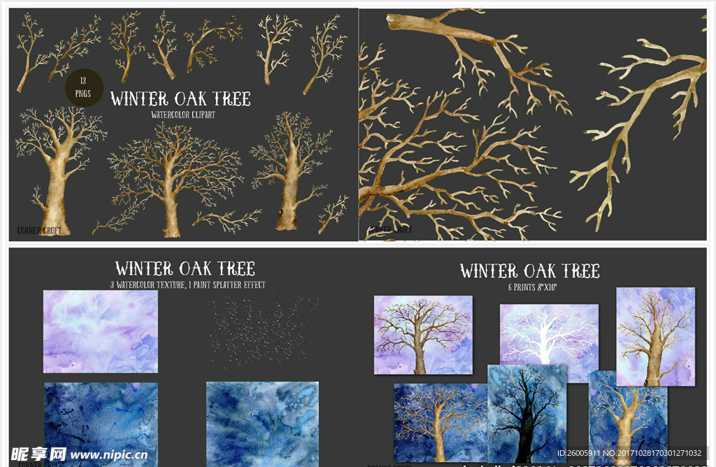 手绘冬日橡树树枝树干水彩画装饰