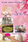 面膜 中药面膜 海藻面膜 美容