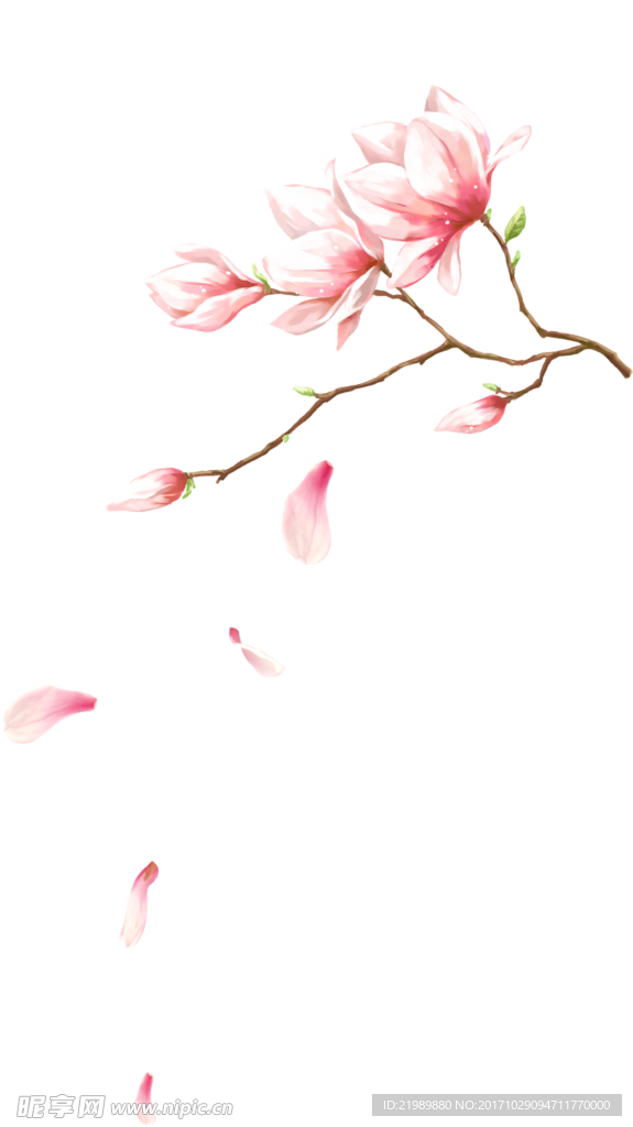 桃花花瓣免抠