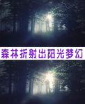 森林折射阳光梦幻美景视频