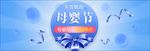 蓝色清新丝带蝴蝶结母婴节电商