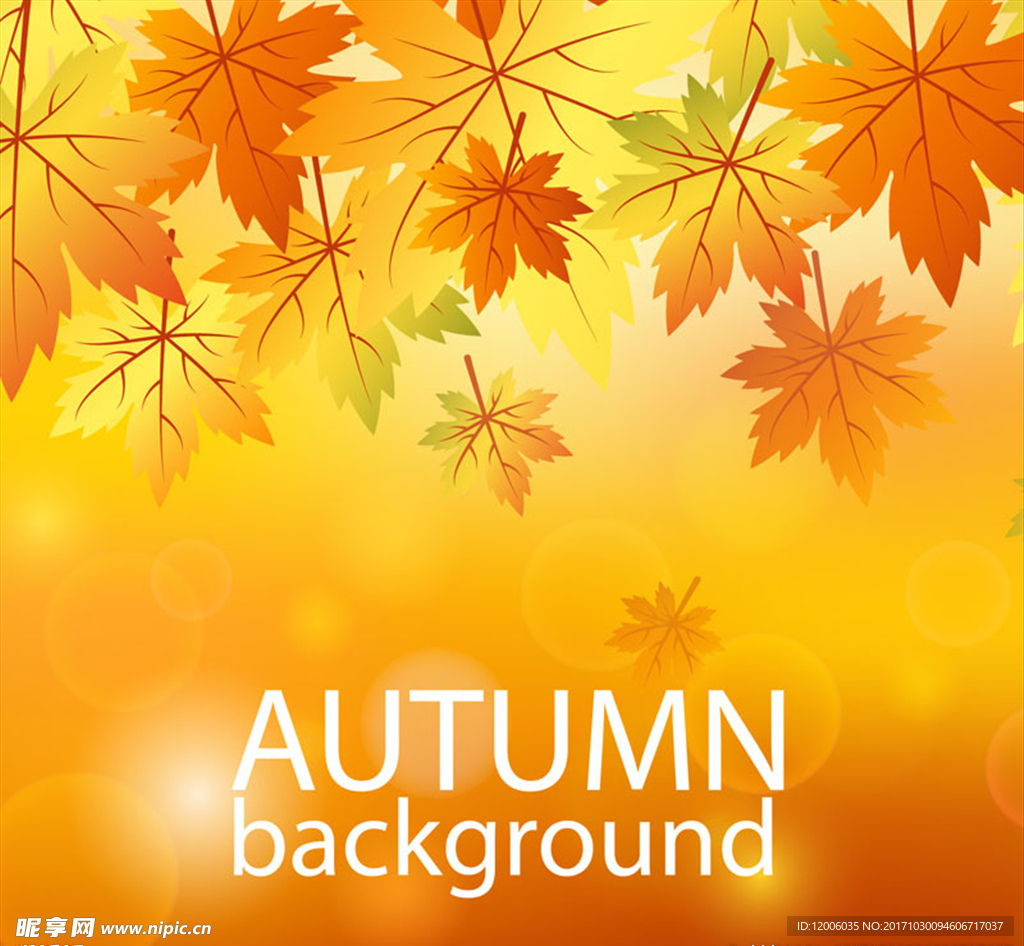 橙色秋季树叶矢量素材