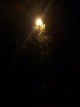 夜晚
