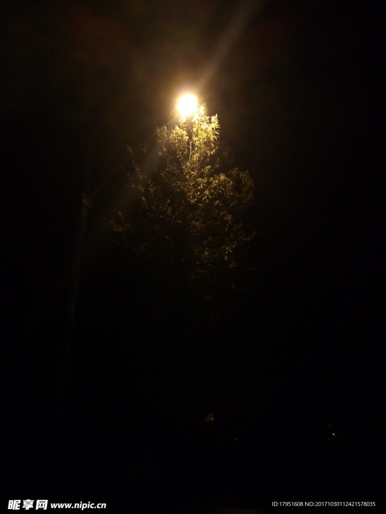 夜晚