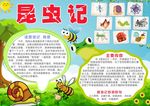 昆虫记小报