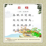 学校展板 春晓古诗