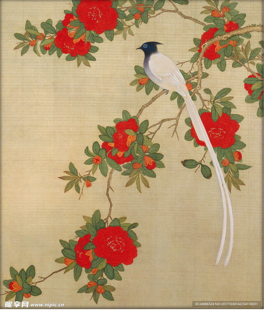 国画花鸟