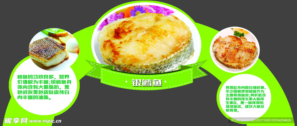 鳕鱼设计