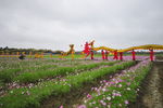 龙寿洋