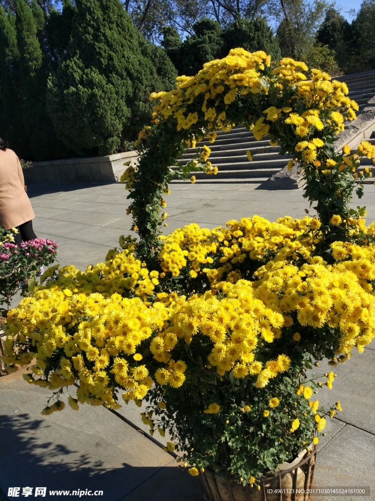 菊花花篮 雏菊花篮  小黄花