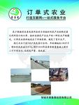 农业文化展板企业文化订单式农业