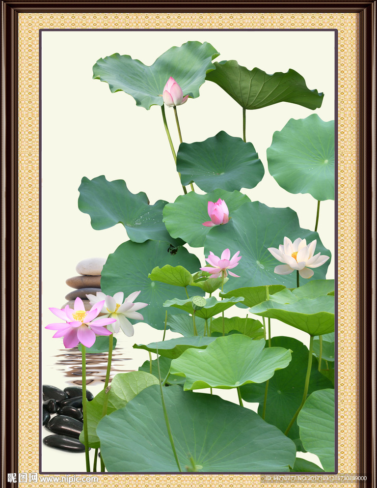 国画荷花