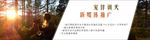 宠物海报