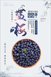 蓝莓海报