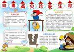 预防减灾珍爱生命小报