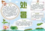 处暑小报