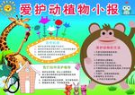 爱护动植物小报