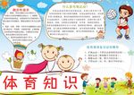 体育知识小报