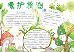爱护植物小报