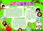 爱护动植物小报