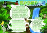 爱护动植物小报