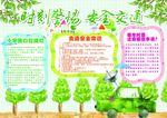 爱护动植物小报