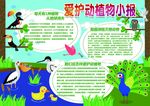 爱护动植物小报