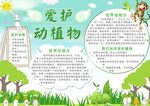 爱护动植物小报